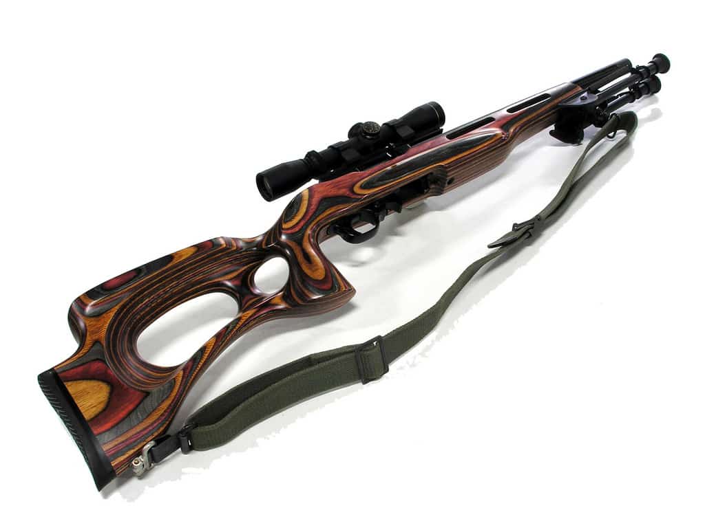6 Best Scope For Ruger 10/22 Takedown : Unbiased Review.