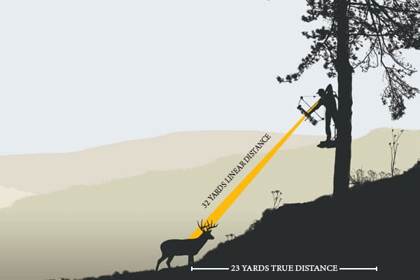 Where To Shoot A Deer With A Bow