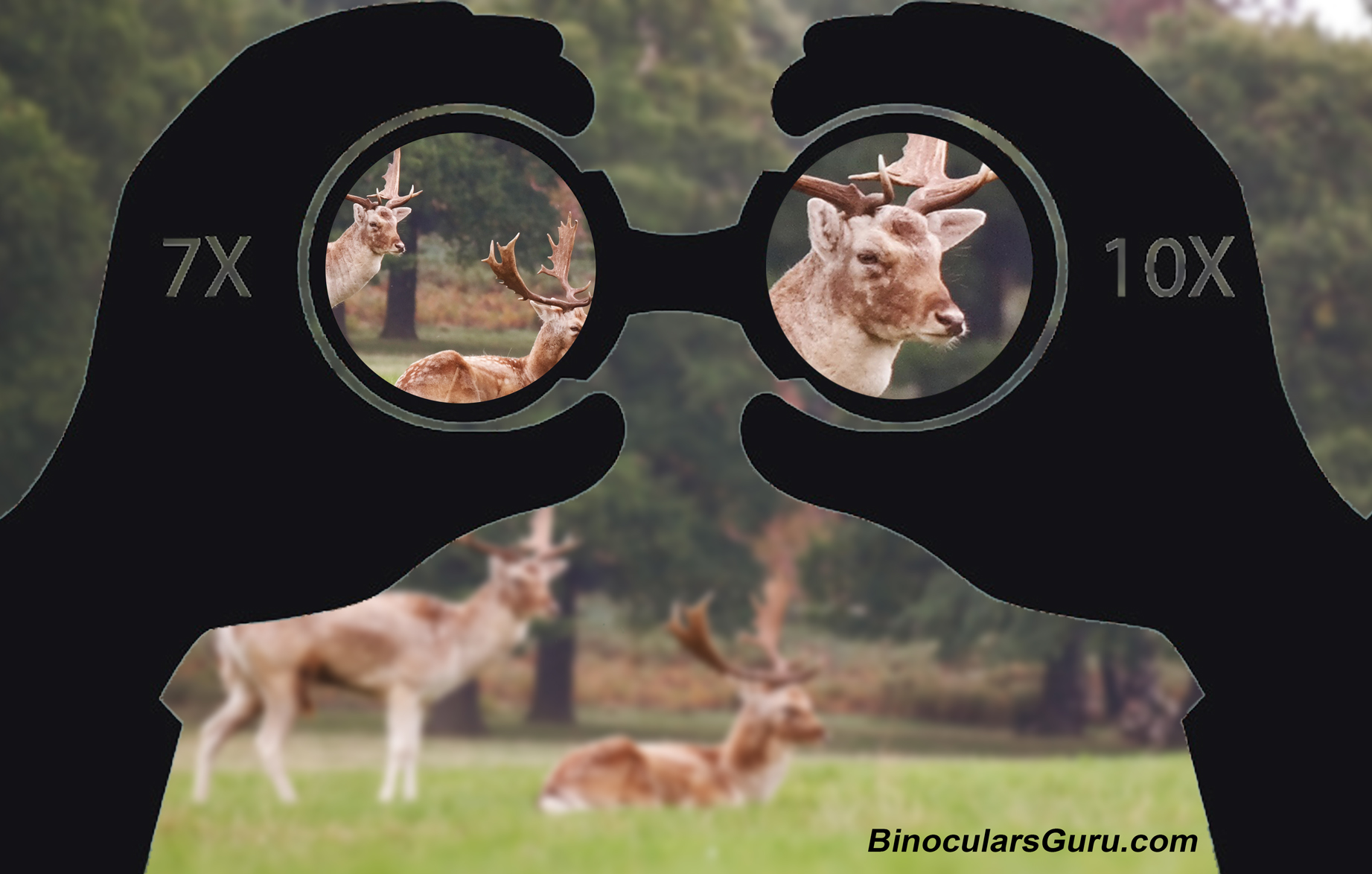 magnification of binoculars
