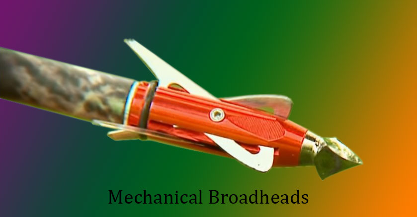 best mechanical Broadheads