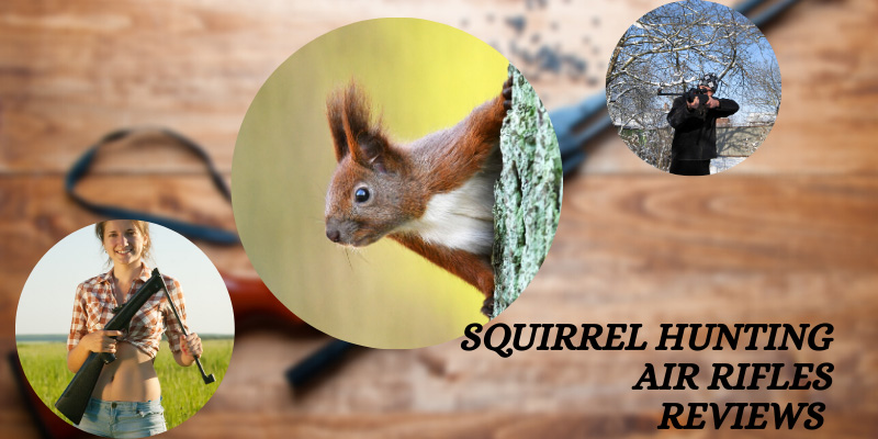 best air rifle for squirrels