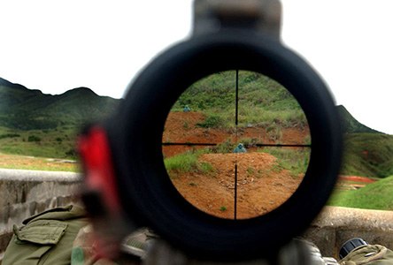magnification of the scope