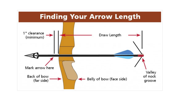 finding arrow length for arrow cutting
