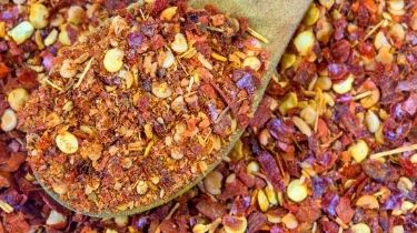 Put some dried red chili pepper flakes around your feeder and they'll avoid it like a plague!