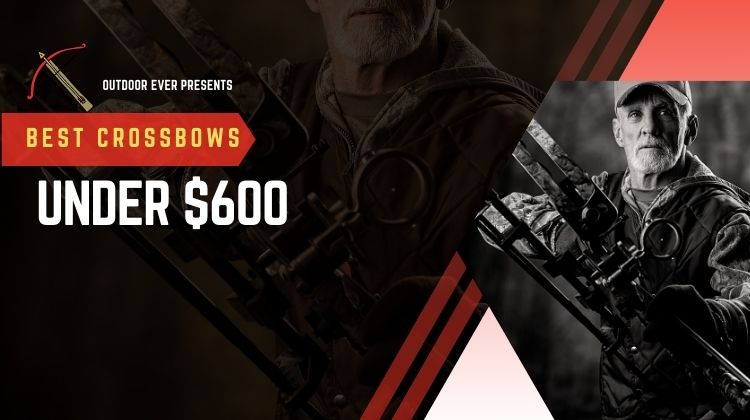 best crossbow under 600 dollars