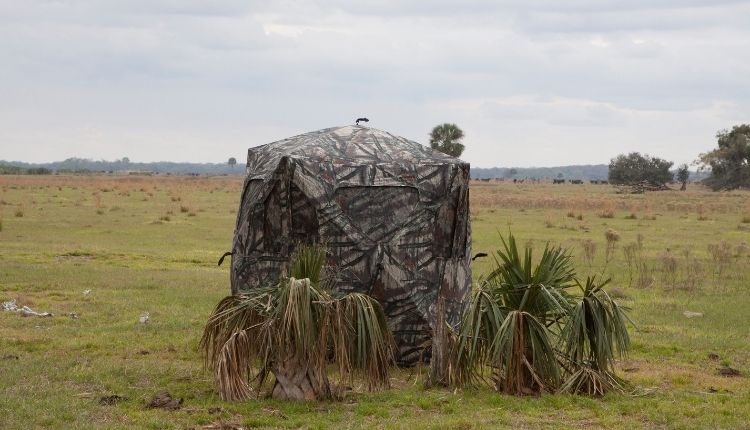 best Bow Hunting Ground Blind