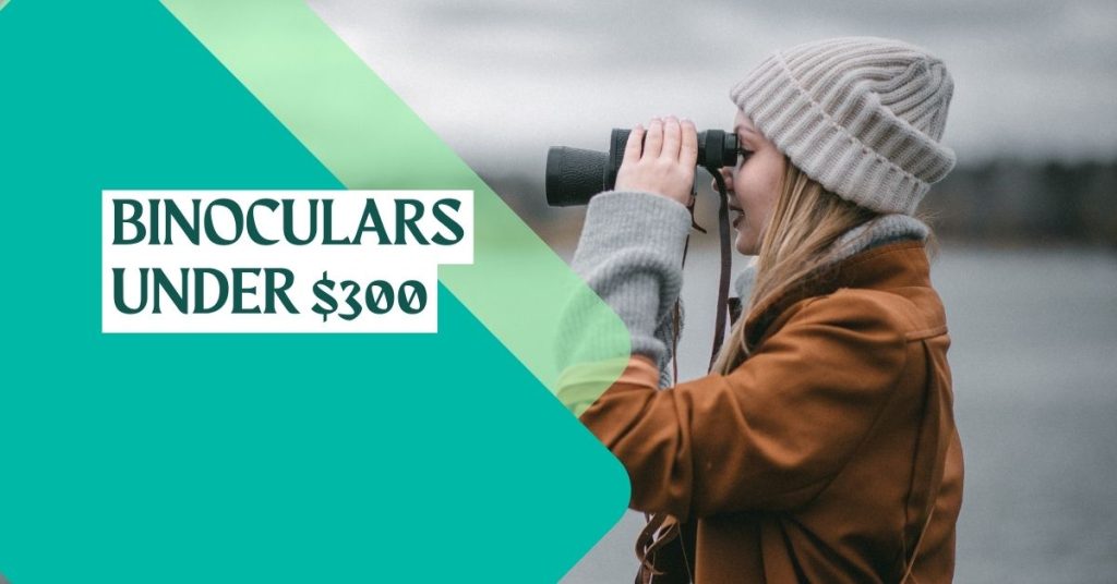 best binoculars under 300 dollars