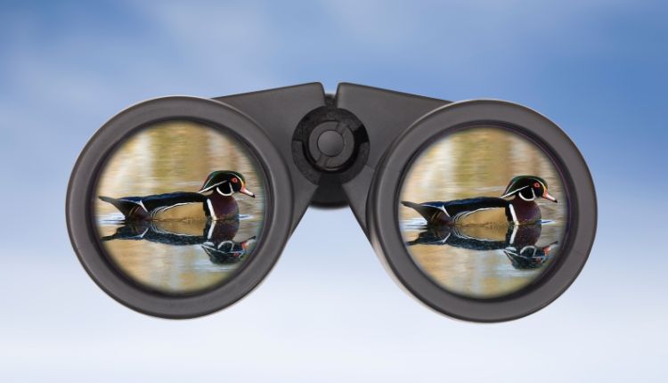 binoculars objective lens