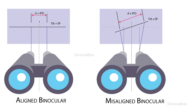 collimation binoculars