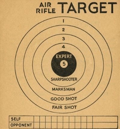 .25 Air rifle Practicing Target Shoots