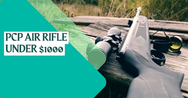 best pcp air rifle under 1000 dollars