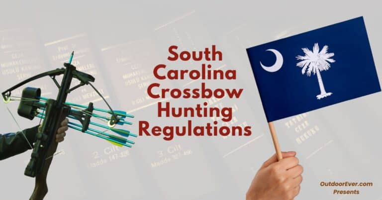 South Carolina Crossbow Hunting Regulations