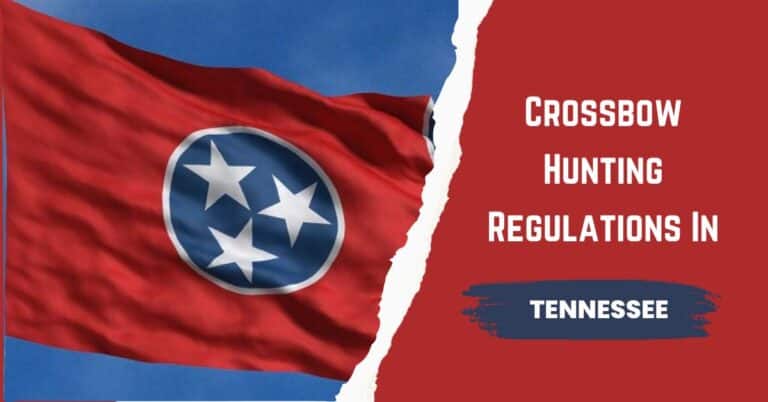 Crossbow Hunting Laws And Regulations in Tennessee