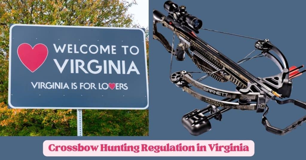 Crossbow Hunting Regulation in Virginia