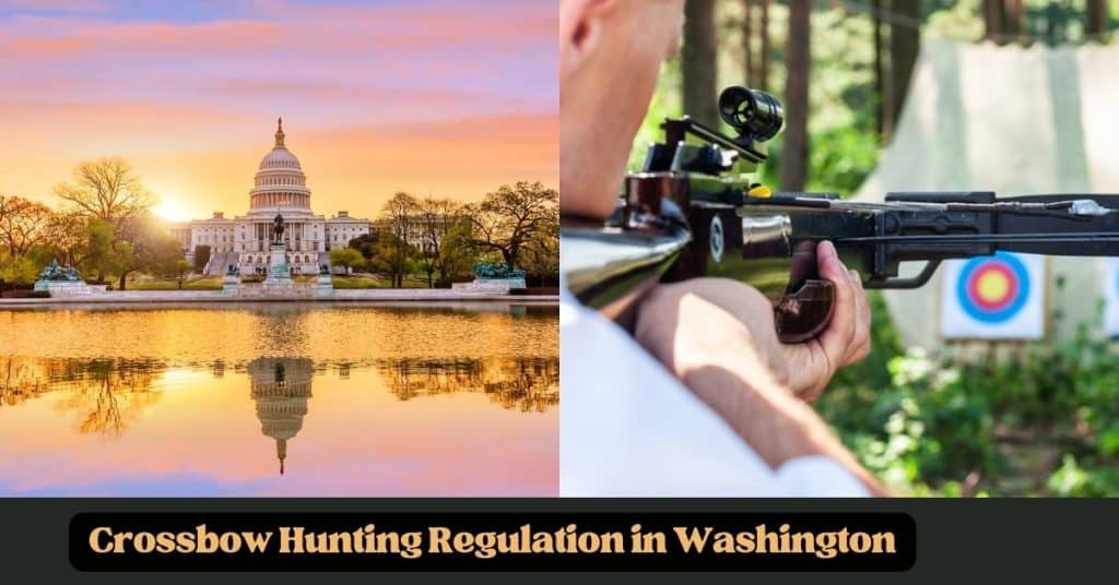 Crossbow Hunting Regulation in Washington